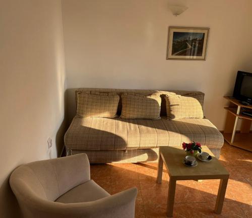 Apartments and Room MV - image 3
