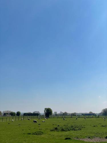 Le Gîte du Flot - Baie de Somme