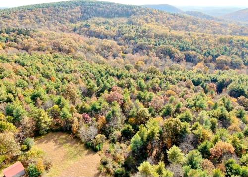 Lodges at Buffalo Mountain- 168 private acres