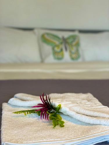 Modern place to Stay-self check-in nonstop 24h-wifi in Lugoj