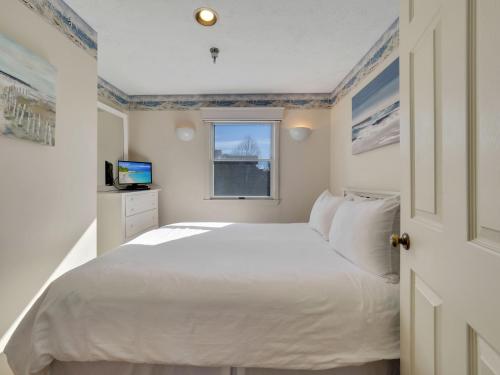 300 North Shore Inn - image 13