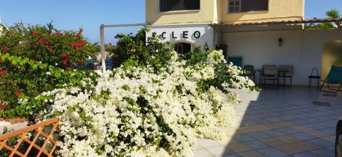 CLEO ROOM WITH YARD IN MALIA 250m FROM THE BEACH