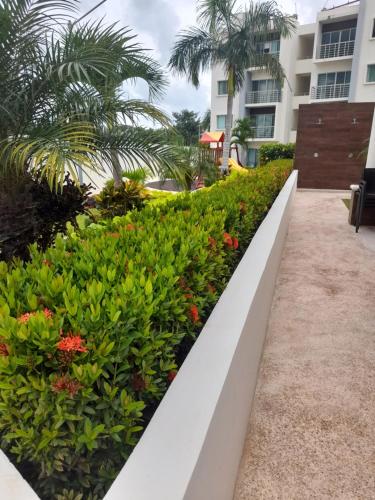 Gorgeous Apartment HOEStel Long Island!, Cancún (fotografie 6)