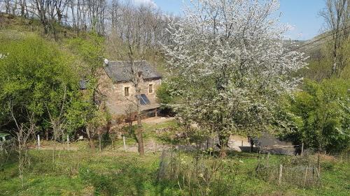 maison isolée dans les vignes et les bois - Escandolières