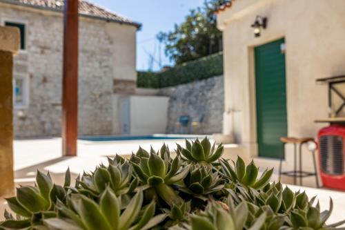 Hotel Agava Split - image 13