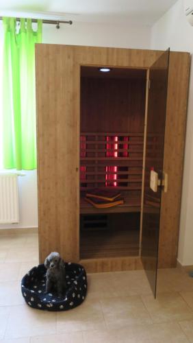 Sauna, Penzion Rita in Lišov