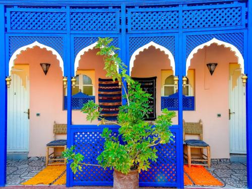 le bleu house - Accommodation - Marrakech