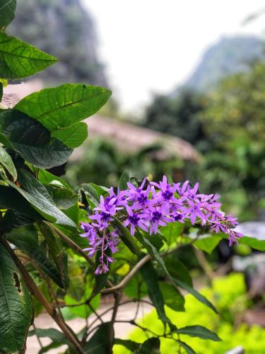 塔姆科克大自然山林小屋 塔姆科克大自然山林小屋