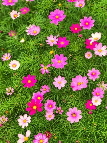 塔姆科克大自然山林小屋 塔姆科克大自然山林小屋