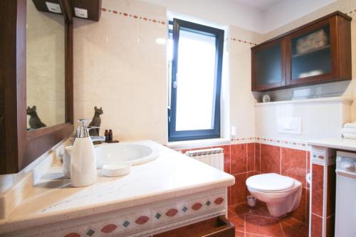 Apartments ALPA VITA - image 3