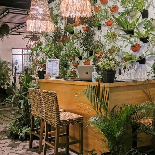 Garden, Snooze Hostel Ijen in Banyuwangi