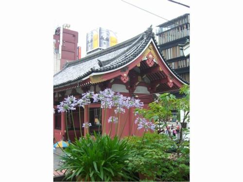 Kaminarimon Ryokan, Tokio (foto 3)