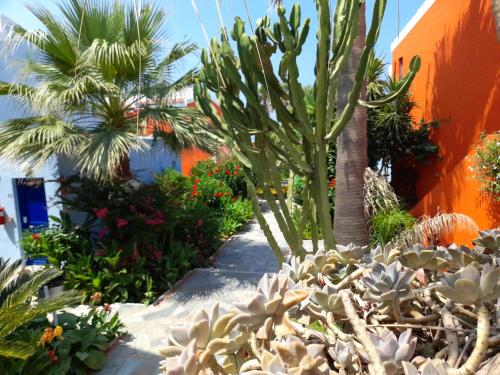 Marina Sands – Agia Marina, OK