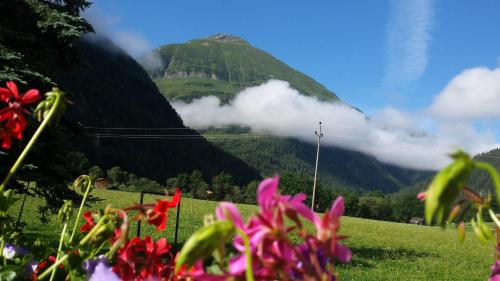 Gasthof Schwarzer Adler