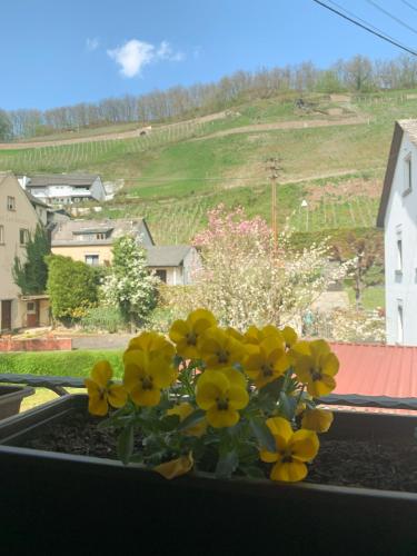 Skats, Ferienwohnung Mila in Obernhof