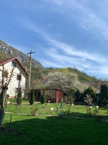 Pension RouaDeMunte - image 9