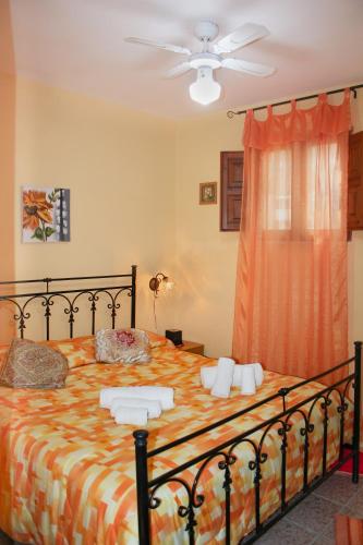 Apartment Timpirussimare