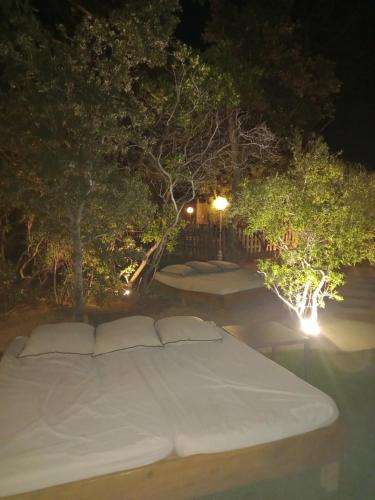 Camping U STABIACCIU - image 10