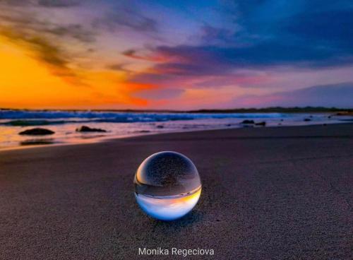 周邊環境, Seascape on the edge of town: 4 beds all ensuite. in 貝爾馬利特