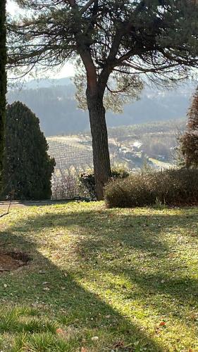  BASISA Bed&Breakfast, Pension in San Lazzaro di Savena