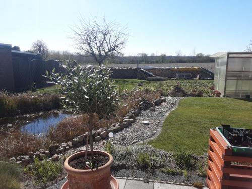 Gästezimmer von Annegret (Gastezimmer von Annegret) in ไพเนอ