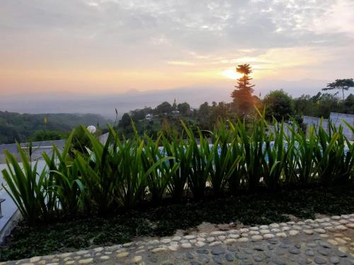 Pemandangan, RD Cottage Hills in Taman Sari