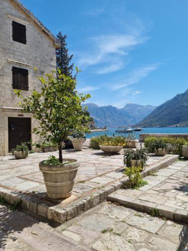 Veneto, Perast (zdjęcie 2)