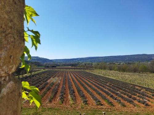 Le Mas Réséda chambre d'hôte Les Gervais