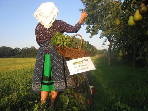 Spreewald Pension Am Spreeschlößchen - image 13