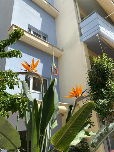  Agrinio ART Suites in Agrinio