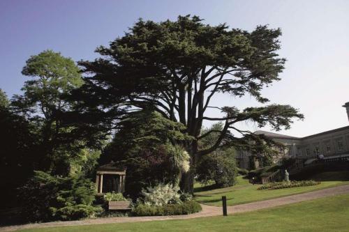 Macdonald Bath Spa Hotel - image 6