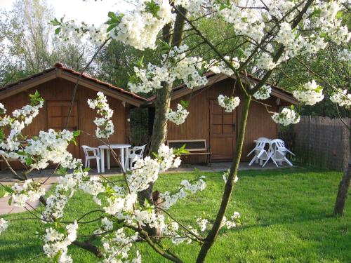 Bungalow with Shared Bathroom