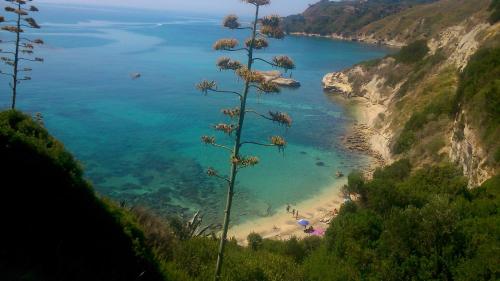  Thanasis Apartments in Sparta