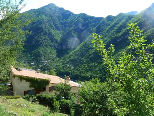 Le Mont d'Olivine chambre d'hôte Utelle