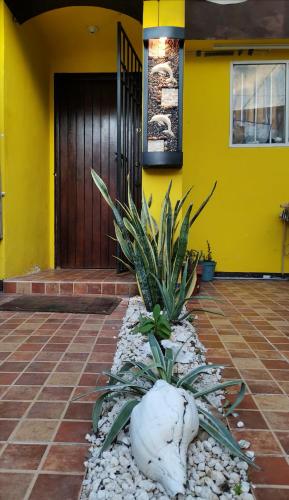 Casa Tortuga En Cancn, Cancún (foto 9)