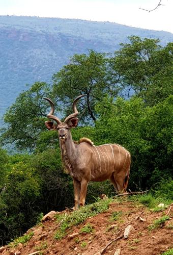 66 Sharalumbi Wildlife Estate