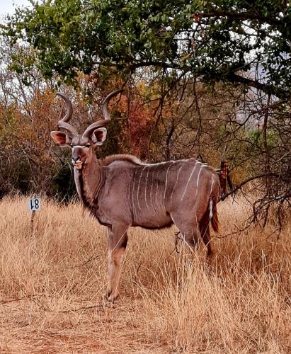 66 Sharalumbi Wildlife Estate photo 4