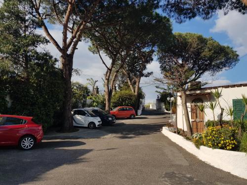Hotel Park Calitto - image 6
