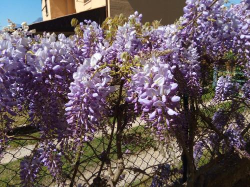  APPARTAMENTO AURORA Val di Sogno in Malcesine