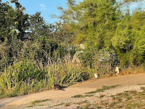Gîte à la campagne, havre de paix avec vue gîte à louer Mélagues