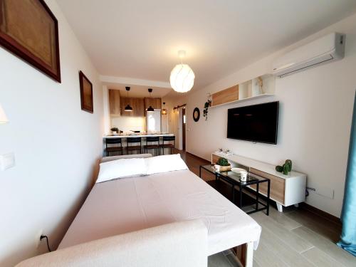 One-Bedroom Apartment image 10