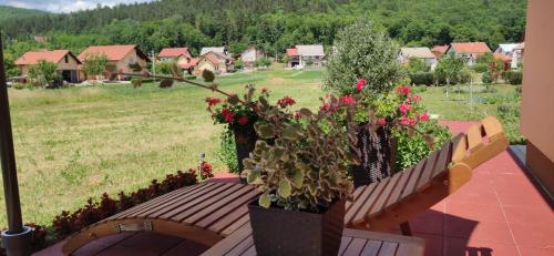 Apartman Urban Nature
