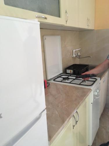 Sobe i Apartmani "Šumadija" Bogutovačka Banja (Sobe i Apartmani "Sumadija" Bogutovacka Banja) in Lopatnica