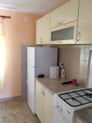 Sobe i Apartmani "Šumadija" Bogutovačka Banja (Sobe i Apartmani "Sumadija" Bogutovacka Banja) in Lopatnica