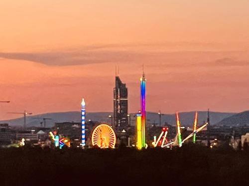 Royal Swan Skyline, Wien, Vídeň (fotografie 3)