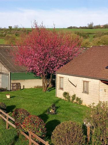 Gite à la Ferme