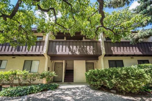 . Large and full of light apartment next to Google, Apple, Stanford in the heart of Silicon Valley