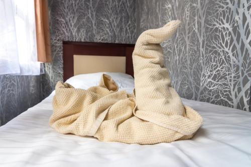 Botel Vodnik - image 5