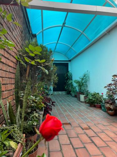 Agradable y confortable apartamento en Bogotá