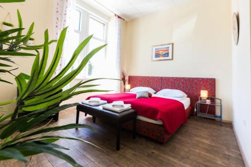 Lady of Health Apartments 4